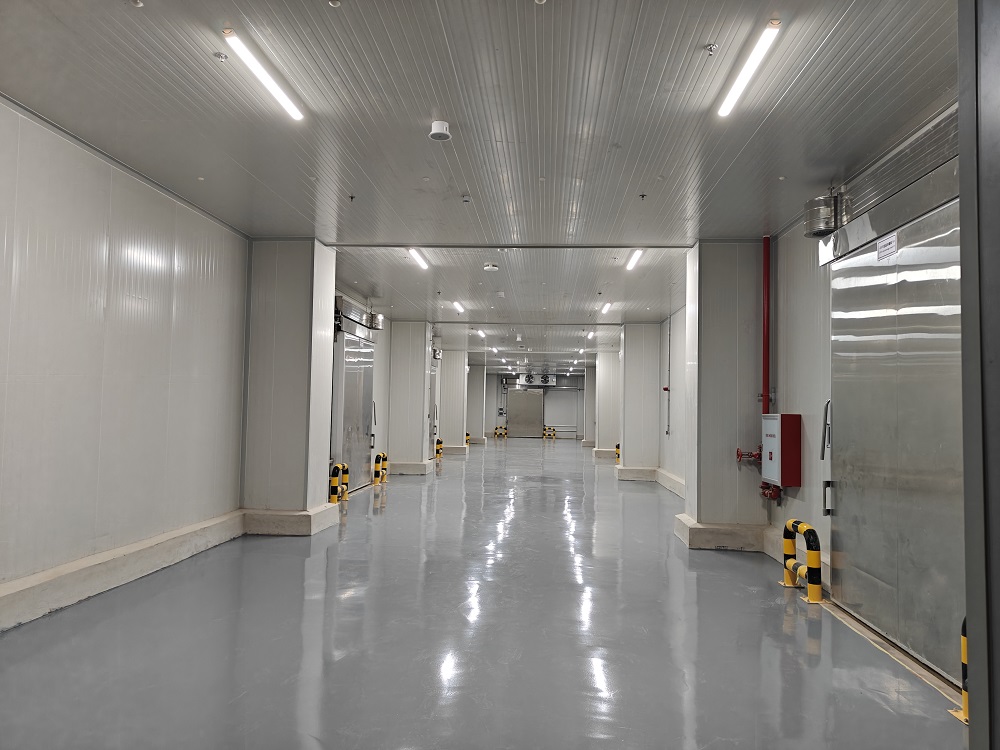 1500 sqm Dual‑Temp Fresh Food Cold Storage Cost in Karachi, Pakistan