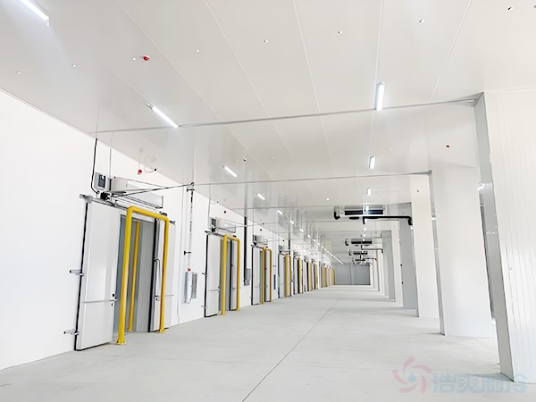 Food Processing Plant Cold Storage Design for Southeast Asia | Tropical High-Humidity Conditions & Energy-Saving Configurations