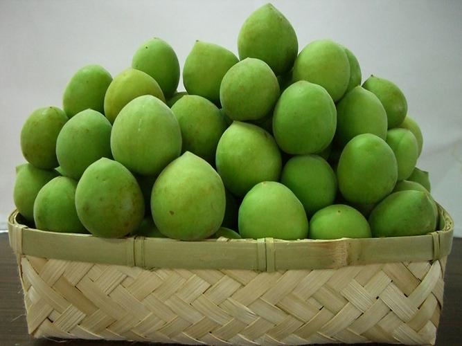 Green Plum Cold Storage: Temperature, Storage Methods and Shelf Life