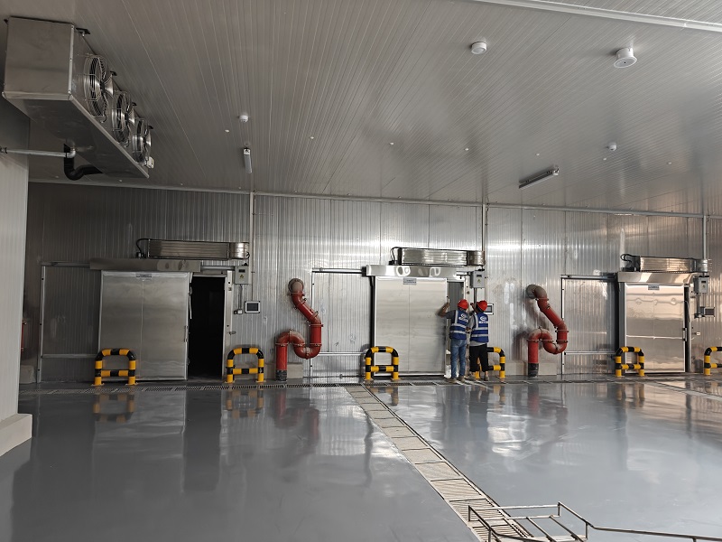 How to Build a Seafood Cold Chain Facility at an African Fishing Port: Pre-Cooling, Rapid Freezing and Cold Storage Solutions